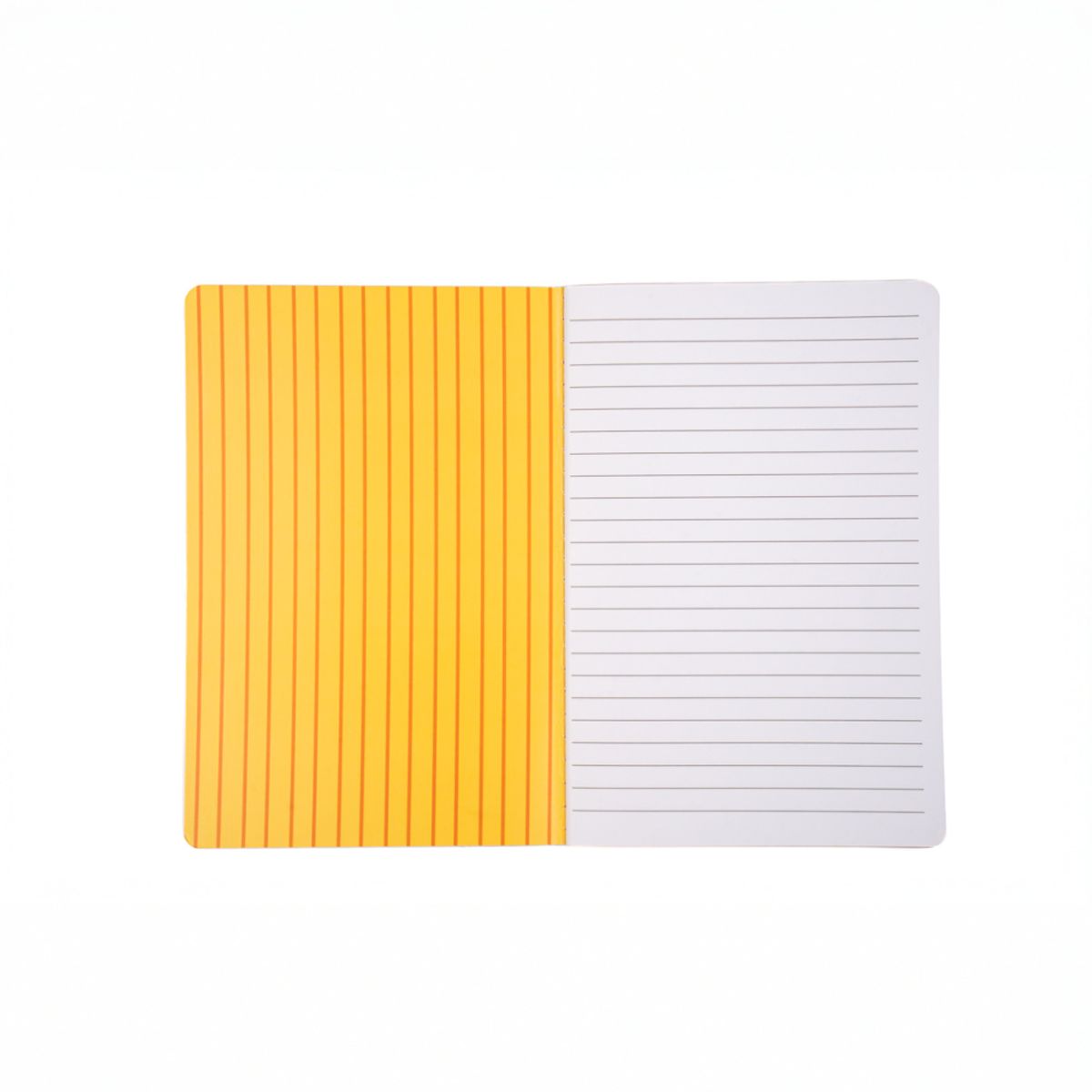 NOTATBOK – Capybara – A5 – Sass & Belle