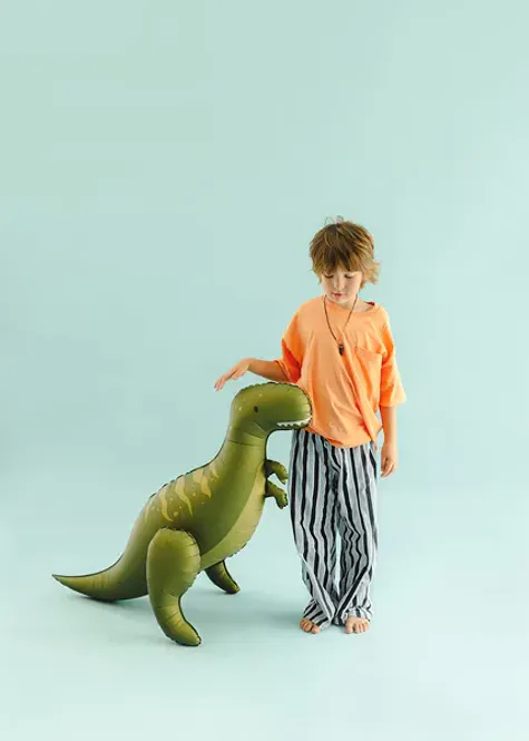 Hovedbilde FOLIEBALLONG – Stående T-Rex – PartyDeco