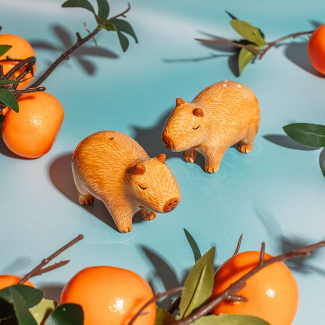 Hovedbilde SALT- OG PEPPERBØSSER – Capybara – Sass & Belle