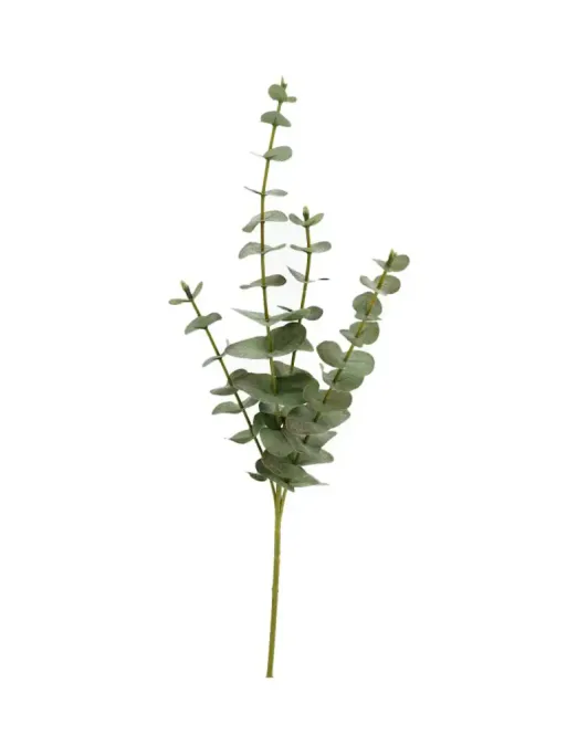Hovedbilde KUNSTIG PLANTE – Eukalyptus – Alot