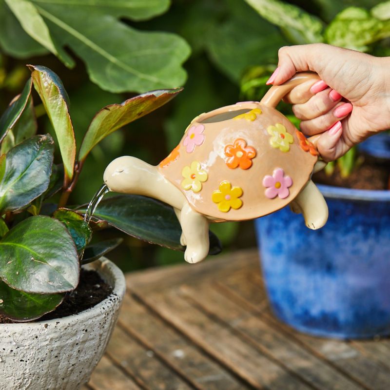 VANNKANNE – Skilpadde med blomster – Sass & Belle