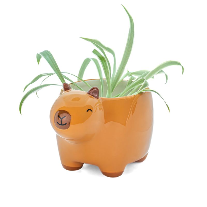 LITEN BLOMSTERPOTTE – Capybara – Sass & Belle