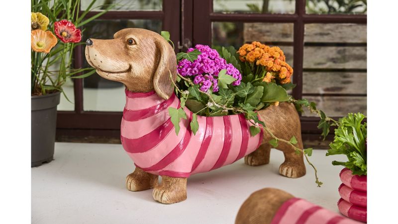 STOR BLOMSTERPOTTE – Hund med genser – 2Have 