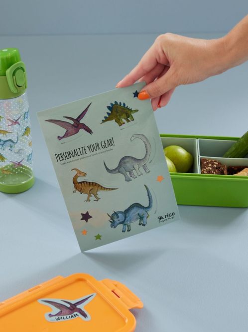 Hovedbilde MERKEKLISTREMERKER – Dinosaurer – Rice